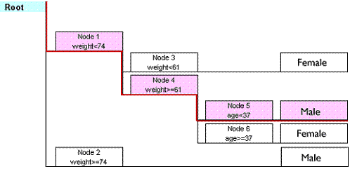 Decision tree for predicting sex from weight, height and age showing the path  for the example.