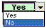 Drop down menu from cell showing Yes & No as options.