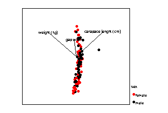 Animated 3D scatter plot