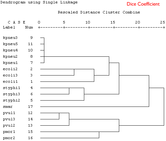 Single linkage clustering using the Dice coefficient