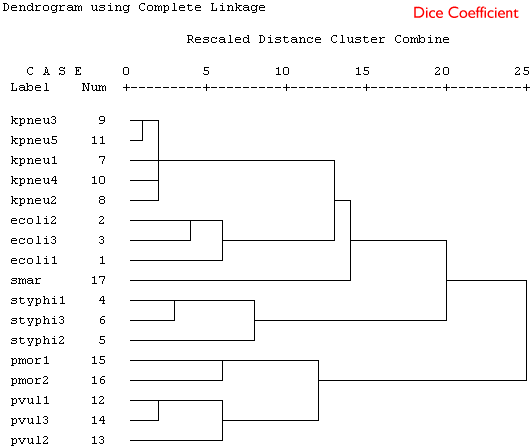 Complete clustering using the Dice coefficient