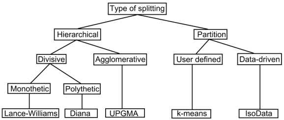 Algorithms are split into Partition (Right) and Hierarachical (Left). The right
		  side is next split by partition type: user defined (e.g. k-means) or data-
		  driven (e.g. IsoData). The left side is split into agglomerative 
		  (e.g. UPGMA) or Divisive. The divisive algorithms are either polthetic (e.g. 
			DIANA) or monothetic (e.g. Lance-Williams).