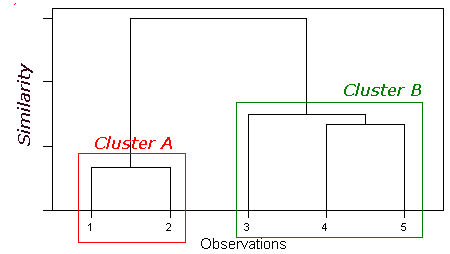 dendrogram showing 2 major groups